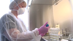 Белгородская межобластная ветеринарная лаборатория будет проверять мёд на пестициды