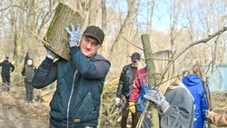   Губкинцы активно участвуют в месячнике добровольного служения Белгородской области