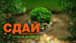 Белгородцы примут участие в эко-марафоне «Сдай макулатуру – спаси дерево!»