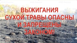 Виновные в поджогах сухой травы в регионе понесли наказаниe