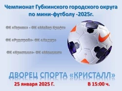 Чемпионат Губкинского городского округа по мини-футболу пройдёт в Губкине