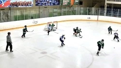 Товарищеская встреча по хоккею пройдёт в Губкине