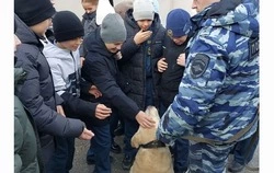 Губкинские школьники познакомились изнутри с работой полиции