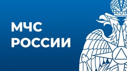 МЧС России организовал онлайн-опрос по вопросам профилактики коррупции