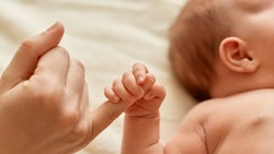 Василиса и Максим оказались среди популярных имён для новорождённых губкинцев в 2023 году