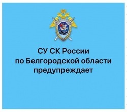 Следственный комитет напомнил о способах дистанционного мошенничества